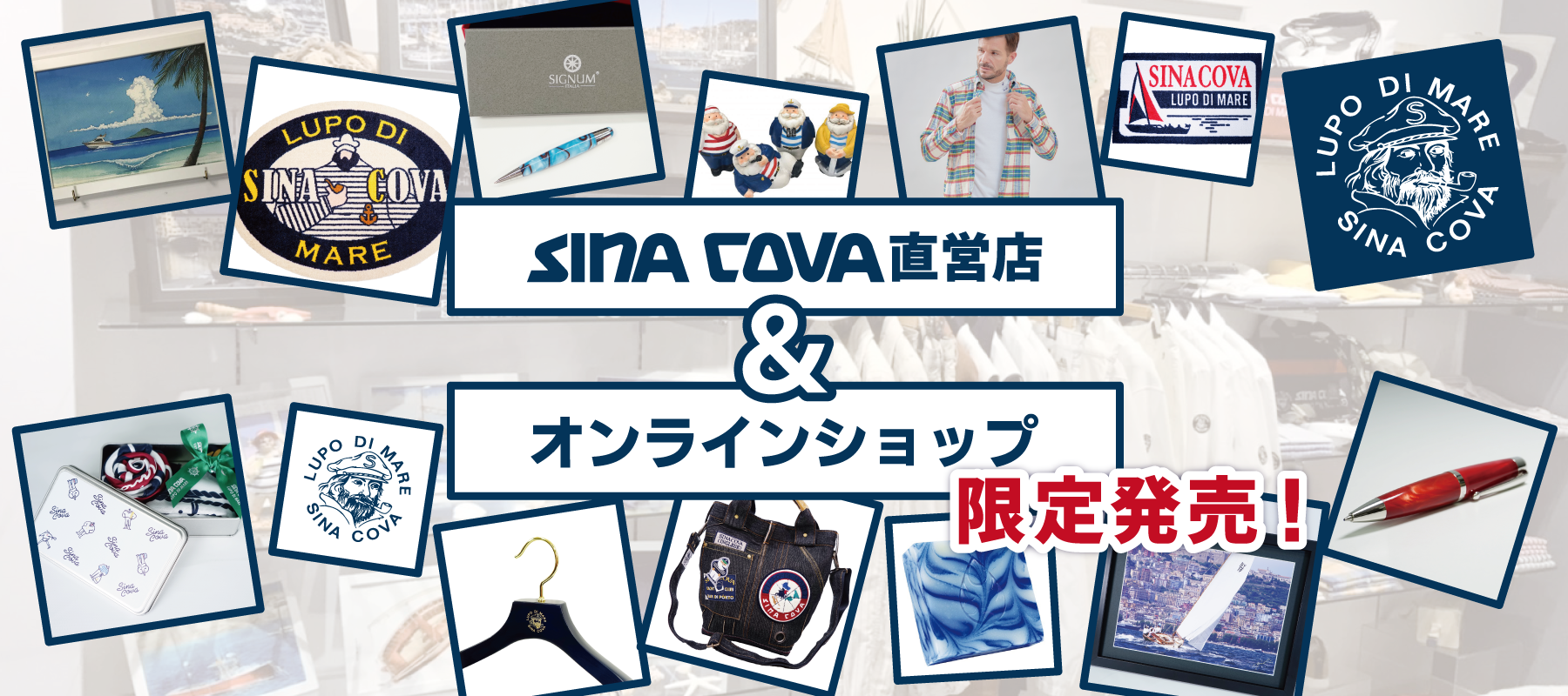 シナコバ(SINA COVA)【限定販売】直営店・オンライン限定商品!