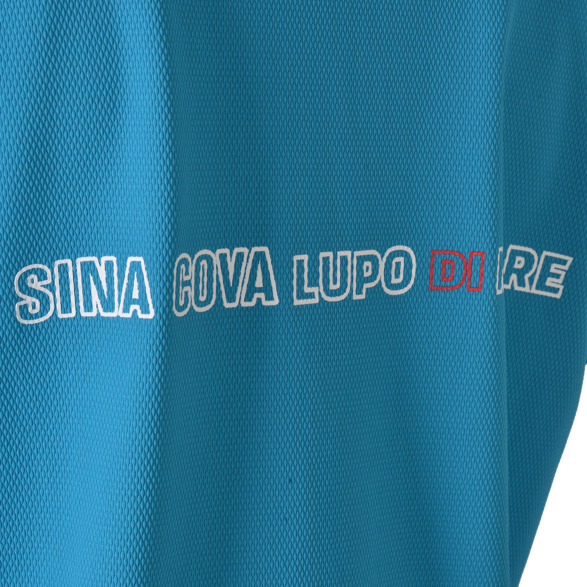 ハイネックTシャツ (バックプリント) 25150520