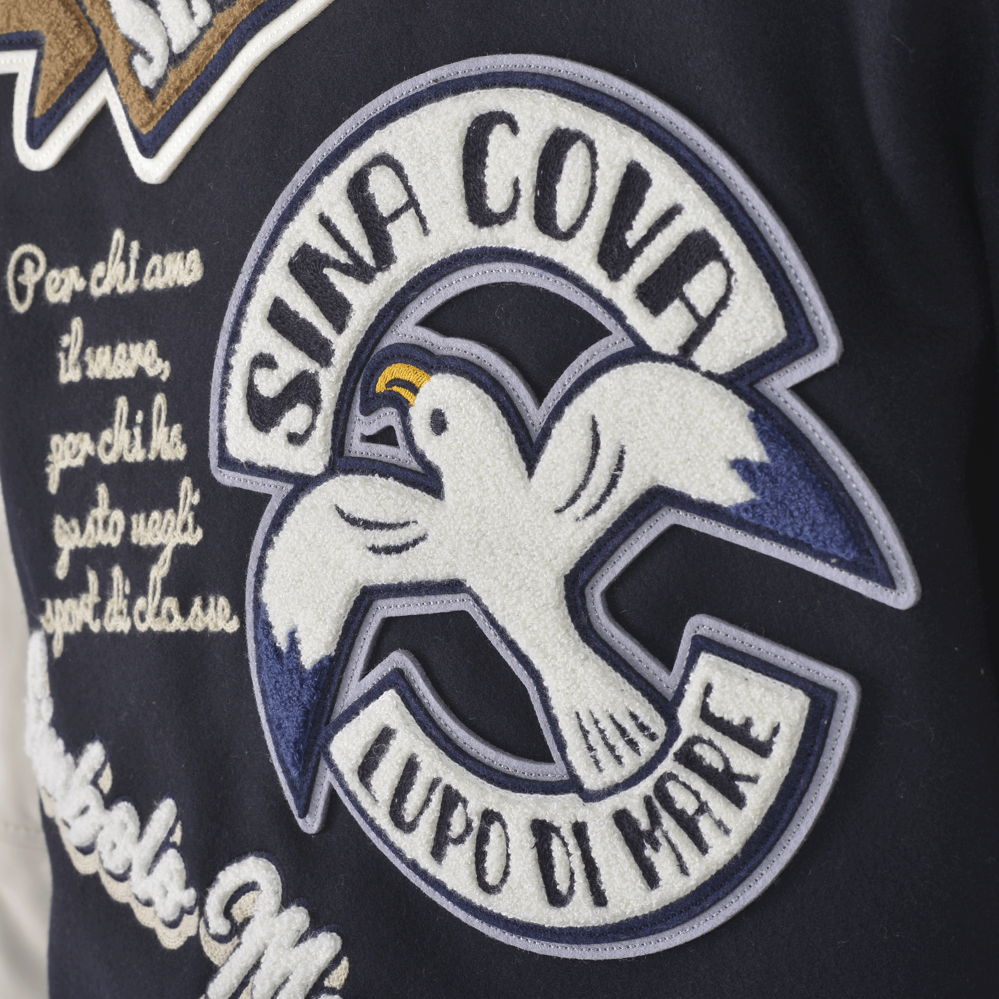 スタジアムジャンパー(希少アイテム) 24223930