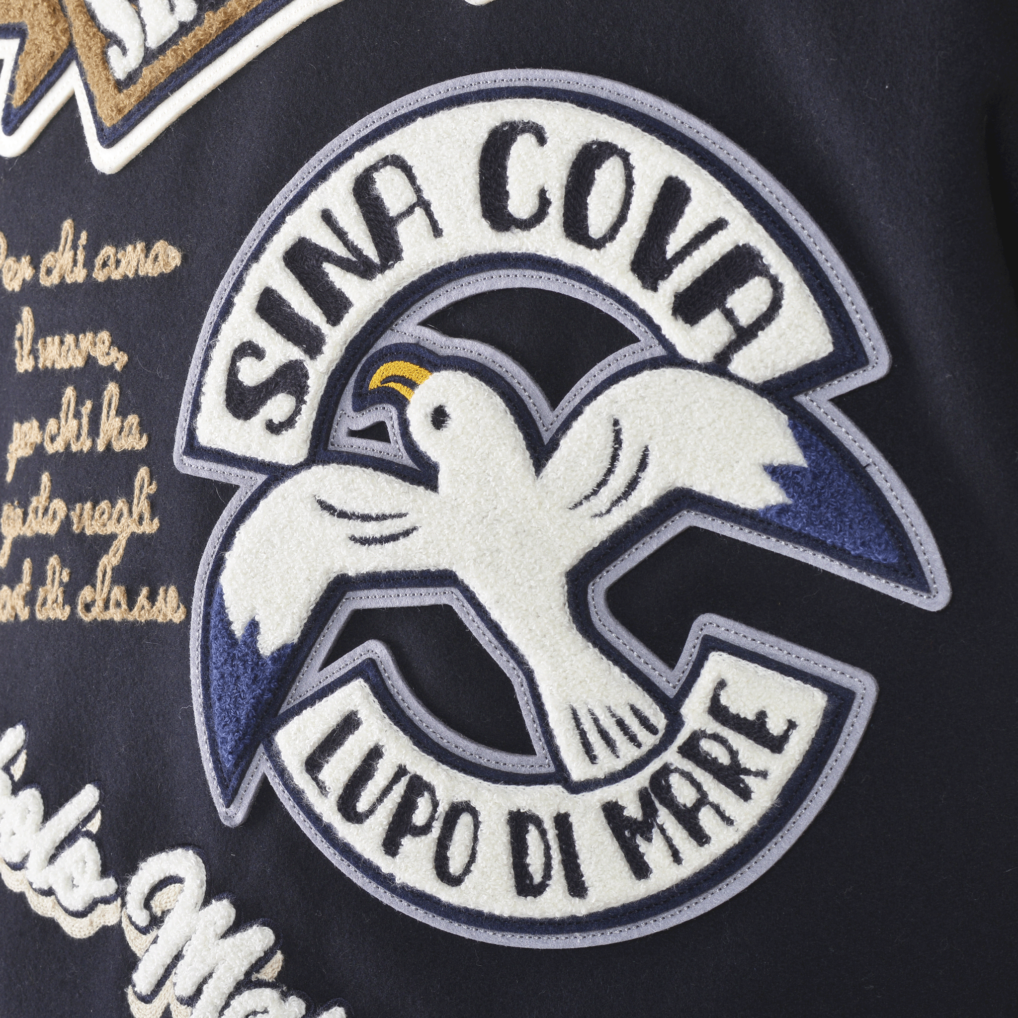 スタジアムジャンパー(希少アイテム) 24223930