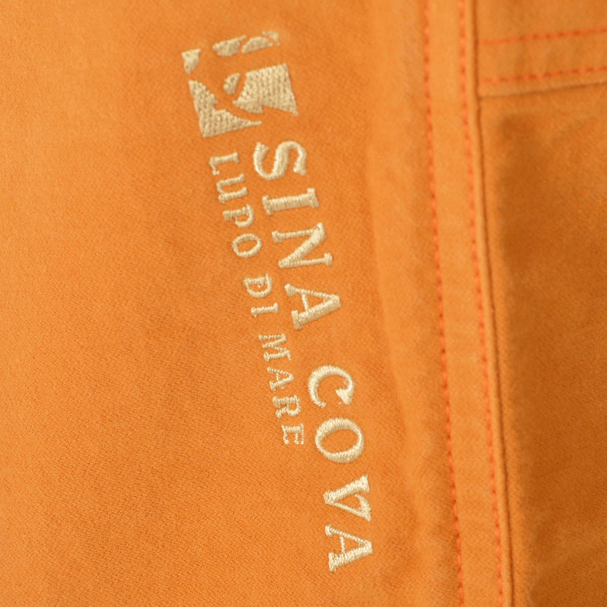 No-tuck tapered pants 25215010