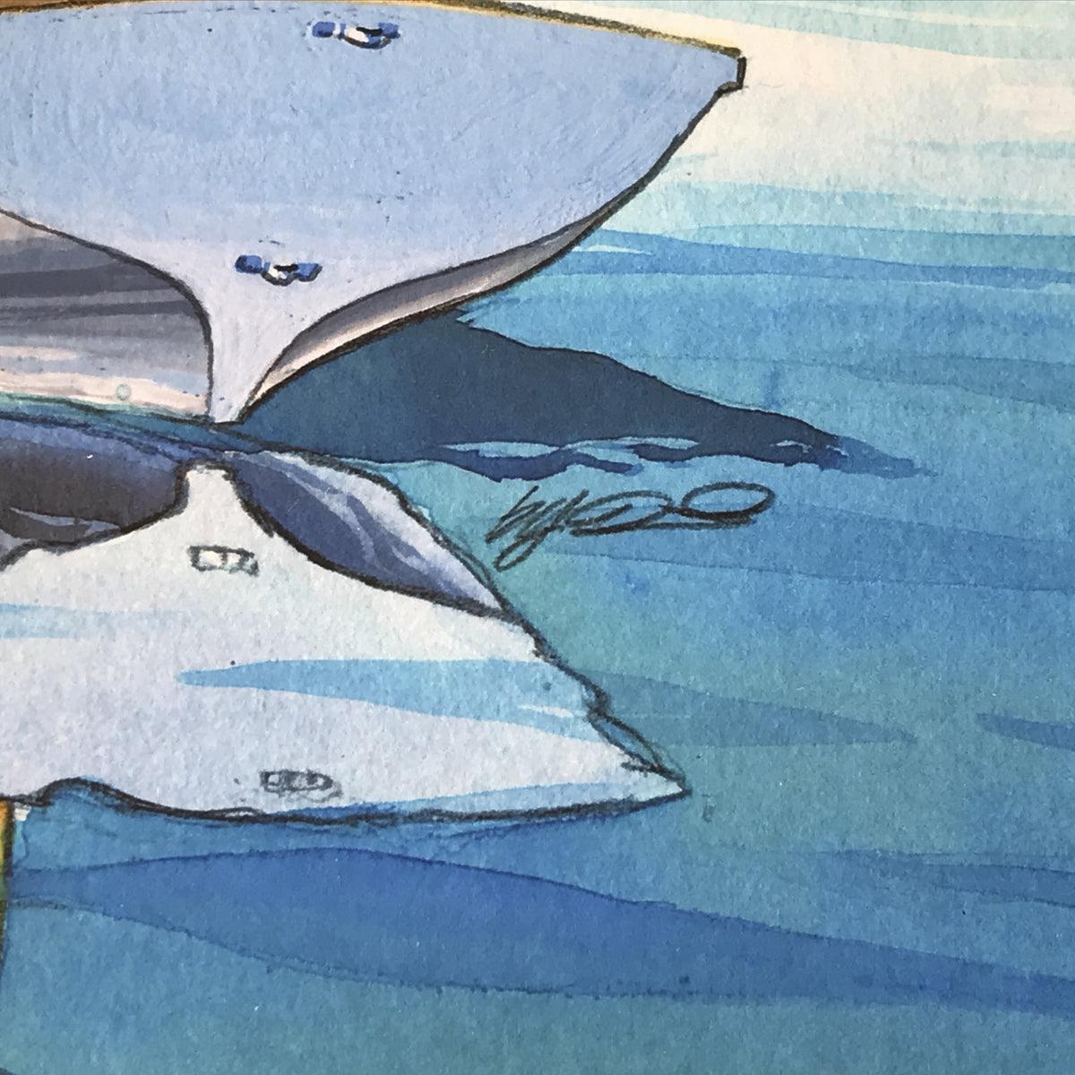 Tadami 『White Dinghy』 57000200 - SINA COVA