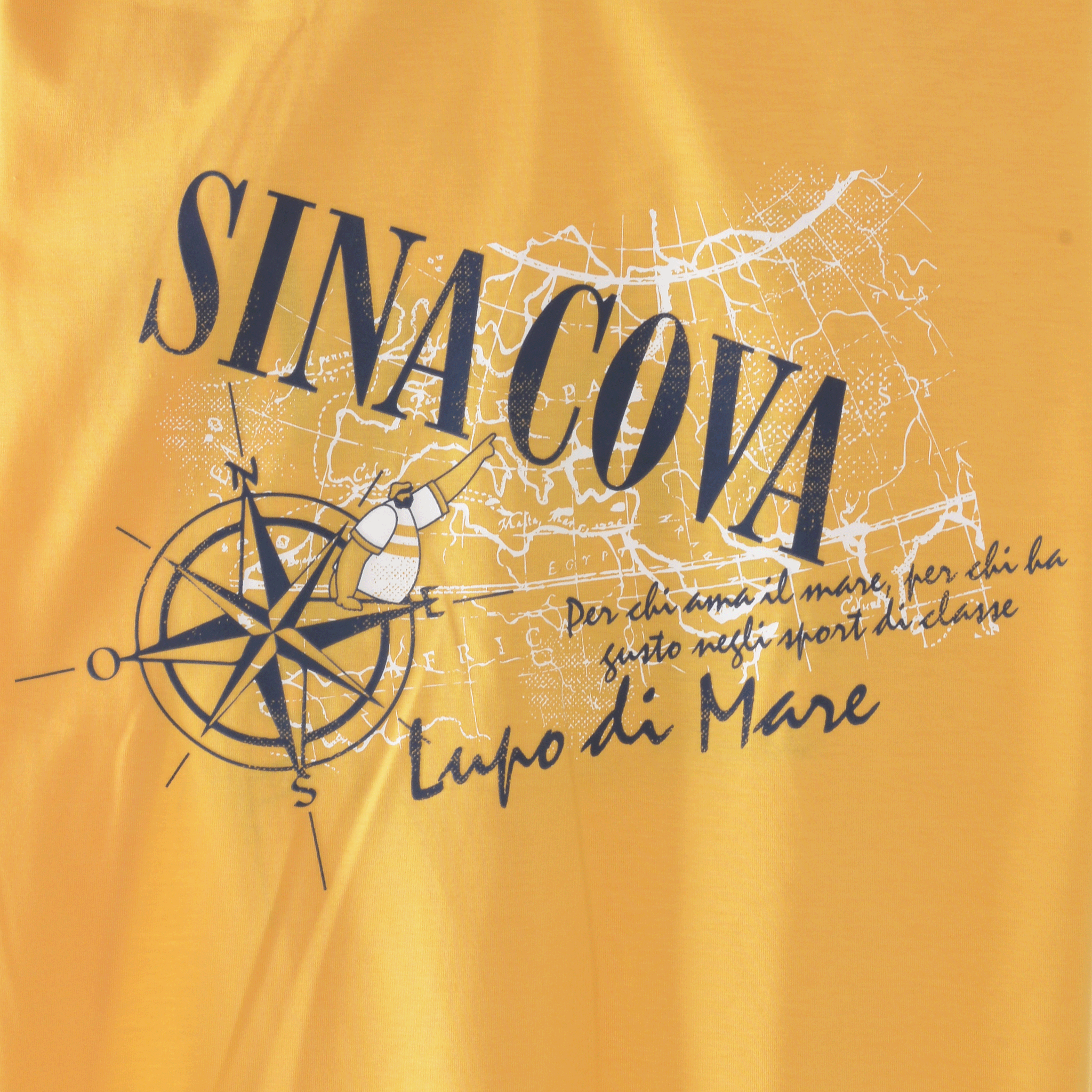 [官方] SINA COVA 短袖T卹 24110620