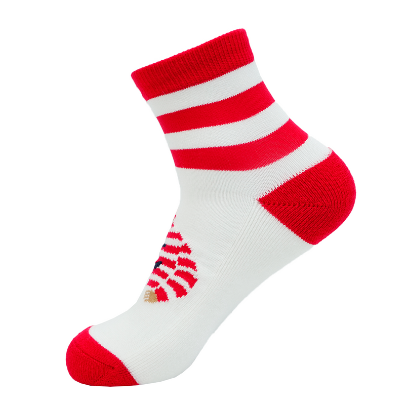 [Official] SINA COVA Sneaker Socks (25cm-27cm) 24277470