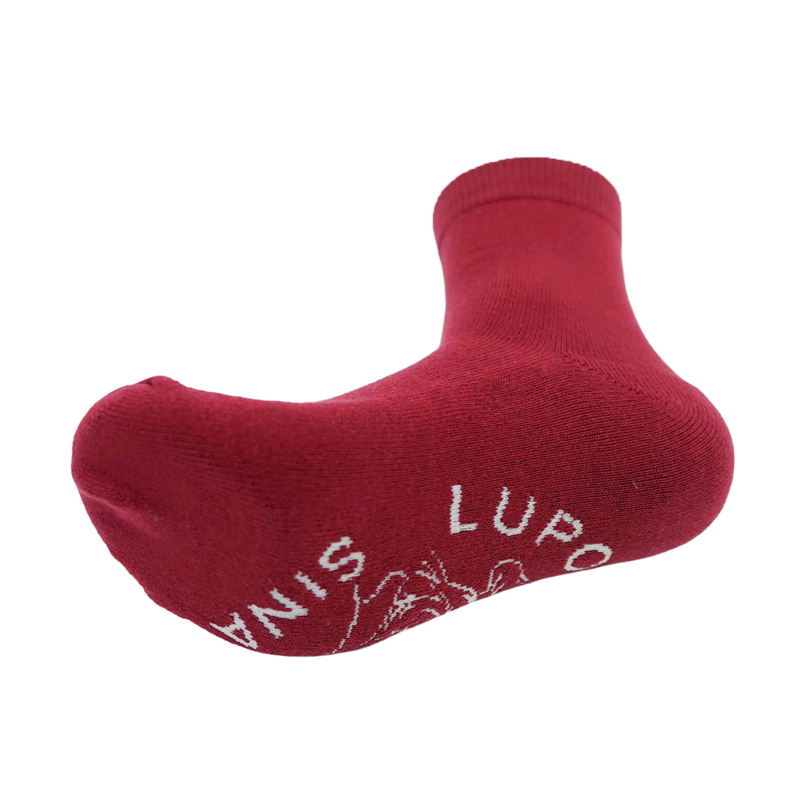 Socks (25cm-27cm) 26277450