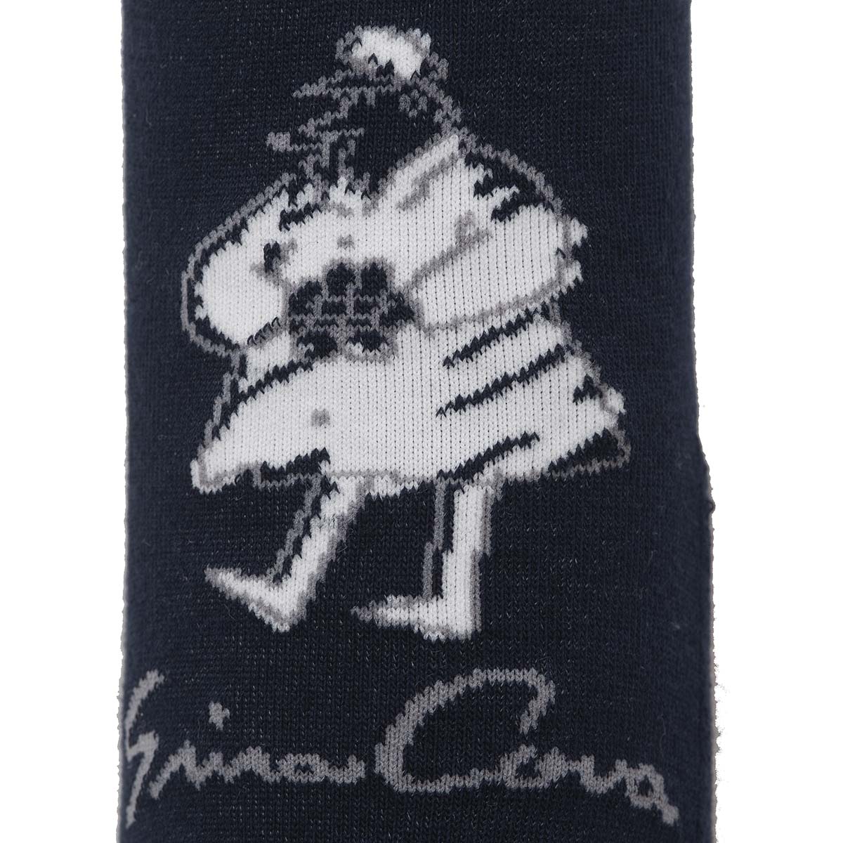 [官方] SINA COVA 運動襪 (25-27cm) 21277410