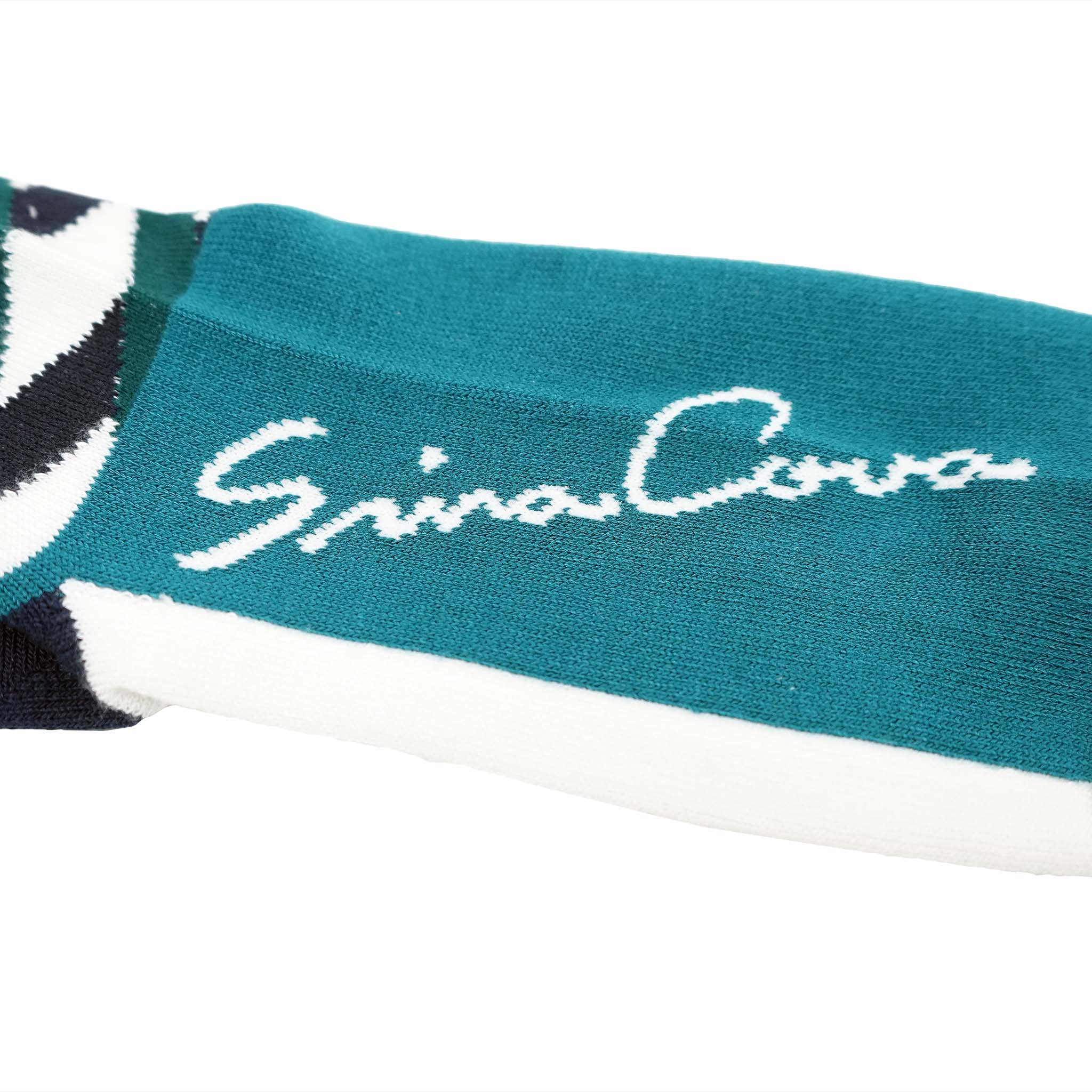 [官方] SINA COVA 運動襪 (25-27cm) 22177440