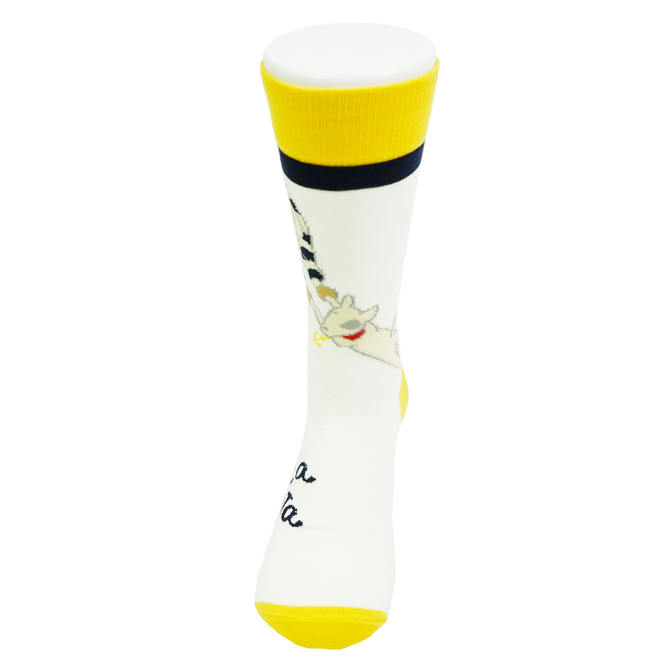 [官方] SINA COVA 襪子 (尺寸 25-27cm) 22277400